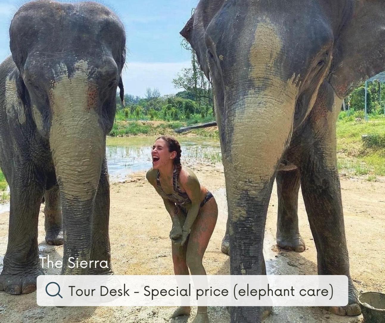Sierra Hostel Nai Yang Ngoại thất bức ảnh